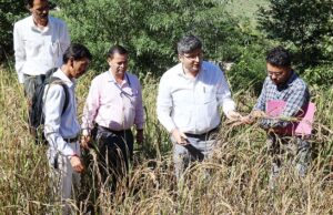 गंगोलगांव में जिलाधिकारी ने किया फसल कटाई प्रयोग का निरीक्षण