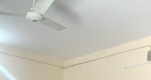 दशोली वनपंचायत संगठन का हुवा विस्तार, देखिए किसको क्या मिली जिम्मेदारी