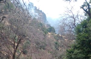 चोपता- देवरियाताल ट्रेक पर जंगल मे आग लगने से फंसे 03 ट्रैकर