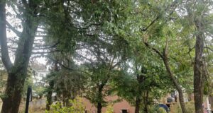 मौसम अपडेट- उत्तराखंड में आज से बदलेगा मौसम का मिजाज