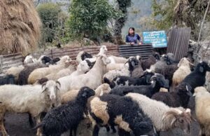 ग्रामोत्थान परियोजना चमोली में महिलाओं की आजीविका को कर रही मजबूत