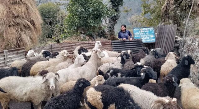 ग्रामोत्थान परियोजना चमोली में महिलाओं की आजीविका को कर रही मजबूत