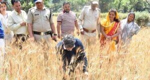 डीएम ने क्रॉप कटिंग प्रयोग को लेकर गेंहू की फसल का किया परीक्षण