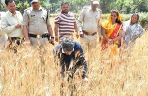 डीएम ने क्रॉप कटिंग प्रयोग को लेकर गेंहू की फसल का किया परीक्षण