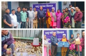 पशुपालन विभाग ने 117 लाभार्थियों को आवंटित की बैकयार्ड कुक्कुट योजना
