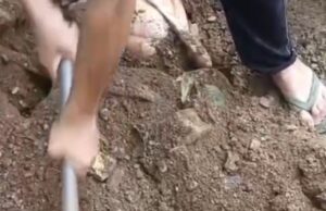 केदार यात्रा मार्ग पर 30 किलो मटन के साथ अभियुक्त गिरफ्तार,