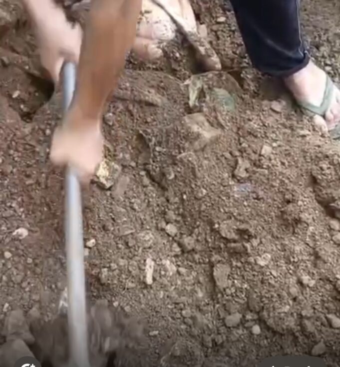 केदार यात्रा मार्ग पर 30 किलो मटन के साथ अभियुक्त गिरफ्तार,