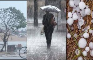 उत्तराखंड मौसम अपडेट: 11 जिलों में बारिश के आसार, 3 जिलों में ओलावृष्टि और तूफान के लिए Orange Alert जारी