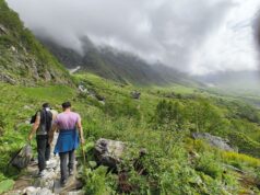 17 दिनों में फूलों की घाटी का 1812 देशी-विदेशी पर्यटकों ने किया दीदार