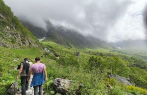 17 दिनों में फूलों की घाटी का 1812 देशी-विदेशी पर्यटकों ने किया दीदार