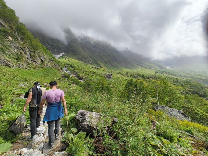 17 दिनों में फूलों की घाटी का 1812 देशी-विदेशी पर्यटकों ने किया दीदार