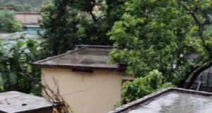 आसमानी आफत ने बरपाया कहर, कई मवेशी मलबे में दबे