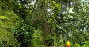 बंड पट्टी के लोगों नें लोकगीतों के जरिए नंदा को विदा किया..