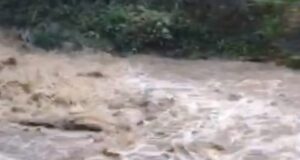 बाइक समेत गदेरे में बहा वन दरोगा,सर्च अभियान जारी।