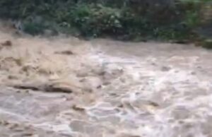 बाइक समेत गदेरे में बहा वन दरोगा,सर्च अभियान जारी।