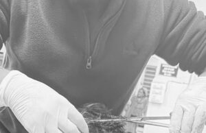 भालू ने एक व्यक्ति को किया घायल,बाल बाल बची जान,दहशत में ग्रामीण