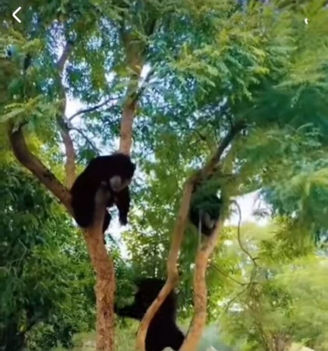 FB_IMG_1764247770431