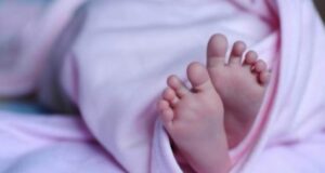 चमोली के देवाल में नवजात का सिर मिलने से हड़कंप,DNA सैंपल के लिए भेजा गया, जांच जारी