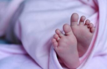 चमोली के देवाल में नवजात का सिर मिलने से हड़कंप,DNA सैंपल के लिए भेजा गया, जांच जारी