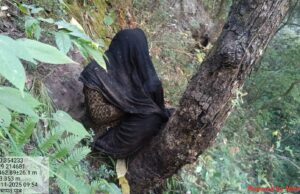 लापता महिला गंभीर घायल अवस्था में मिली, भालू ने किया हमला, टीम मौके पर