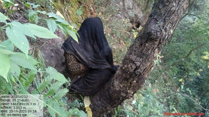 लापता महिला गंभीर घायल अवस्था में मिली, भालू ने किया हमला, टीम मौके पर