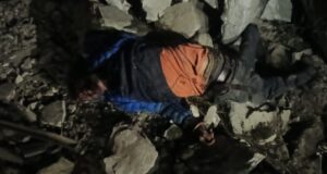 नंदप्रयाग नंदानगर मोटर मार्ग पर वाहन दुर्घटनाग्रस्त, चालक की मौत