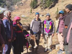 गणतंत्र की सबसे खूबसूरत तस्वीर!– वाण गांव के दो युवाओं ने मसीहा बनकर बचाई बर्फ में फंसे 12 बेजुबानों की जान