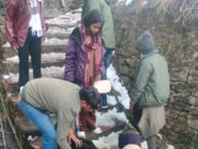 ❄️ *बर्फ में फिसली बेजुबान ज़िंदगी, ज्योतिर्मठ पुलिस बनी संजीवनी