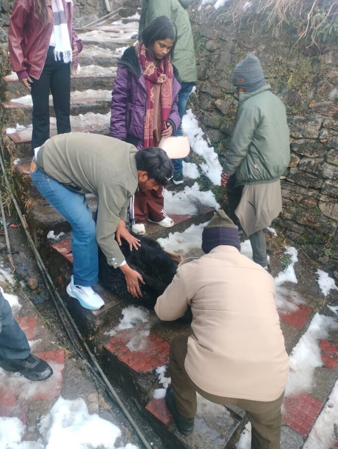 ❄️ *बर्फ में फिसली बेजुबान ज़िंदगी, ज्योतिर्मठ पुलिस बनी संजीवनी