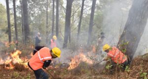 जनपद चमोली में वनाग्नि से निपटने हेतु बहु-विभागीय संयुक्त मॉक ड्रिल का सफल आयोजन।