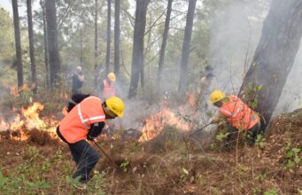 जनपद चमोली में वनाग्नि से निपटने हेतु बहु-विभागीय संयुक्त मॉक ड्रिल का सफल आयोजन।