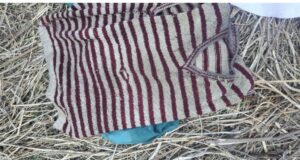 लापता बुजुर्ग महिला का कंकाल मिलने से सनसनी, कपड़ों से हुई शिनाख्त