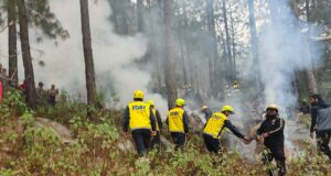 वनाग्नि नियंत्रण हेतु राज्यव्यापी मॉक ड्रिल, SDRF की टीमों ने किया प्रभावी अभ्यास