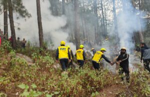 वनाग्नि नियंत्रण हेतु राज्यव्यापी मॉक ड्रिल, SDRF की टीमों ने किया प्रभावी अभ्यास