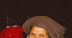 चिपको आंदोलन के 5 दशक ! — न हम चिपको को समझ पाए, न गौरा को और न ही हिमालय की संवेदनशीलता ..