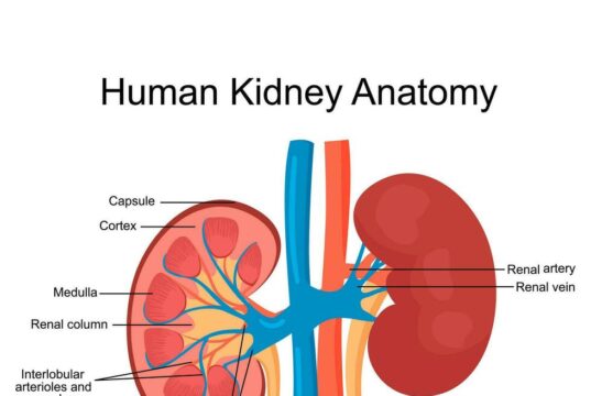 देहरादून के छात्र ने बेची अपनी किडनी, पुलिस ने अस्पताल मालिक और चिकित्सकों समेत 06 को गिरफ्तार किया-