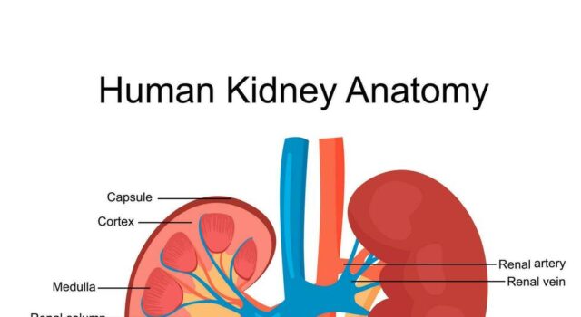 देहरादून के छात्र ने बेची अपनी किडनी, पुलिस ने अस्पताल मालिक और चिकित्सकों समेत 06 को गिरफ्तार किया-