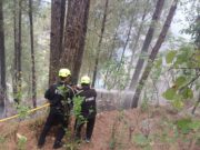 यहाँ आवसीय भवनों के नजदीक पहुंची आग, वन विभाग और फायर सर्विस ने पाया काबू