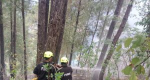 यहाँ आवसीय भवनों के नजदीक पहुंची आग, वन विभाग और फायर सर्विस ने पाया काबू