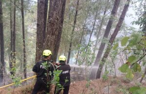 यहाँ आवसीय भवनों के नजदीक पहुंची आग, वन विभाग और फायर सर्विस ने पाया काबू