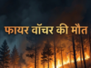 आग बुझाते समय फायर वॉचर की मौत, परिजनों ने वन विभाग का किया घेराव, पत्नी को नौकरी और मुआवजे की मांग