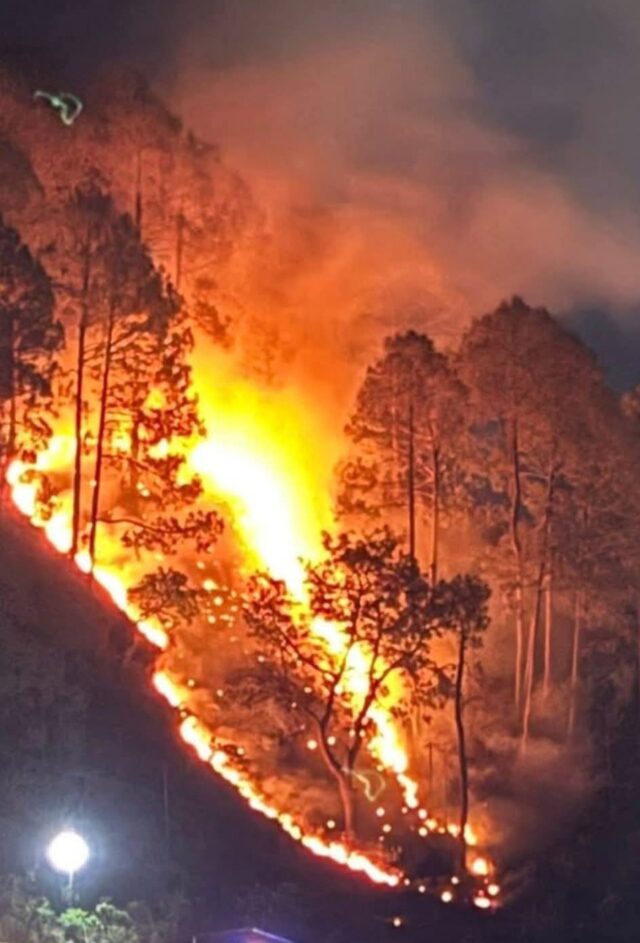 जंगलों की आग से बढ़ी पहाड़ों की तपिश, कर्णप्रयाग में बदलता मौसम बना चिंता का कारण