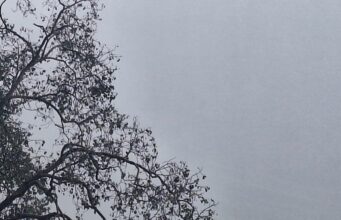चमोली में बदला मौसम का मिजाज, बारिश से वनाग्नि पर लगी रोक, तापमान में आई गिरावट
