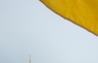 हेमकुंड साहिब में जून में फिर बिछी बर्फ की सफेद चादर, संगतों में उत्साह