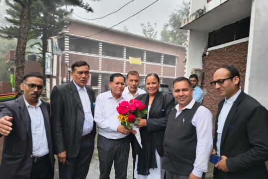 गोपेश्वर बार एसोसिएशन चुनाव : भारत सिंह रावत बने अध्यक्ष, अन्य पदाधिकारी निर्विरोध निर्वाचित