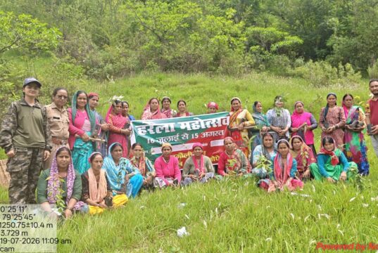 हरेला पर्व पर अगथला वन पंचायत में पौधारोपण, पर्यावरण संरक्षण का लिया संकल्प