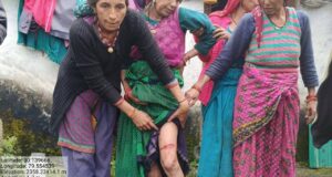 चमोली (थराली): उत्तराखंड के चमोली जिले से वफादारी और बहादुरी की एक हैरान कर देने वाली खबर सामने आई है।