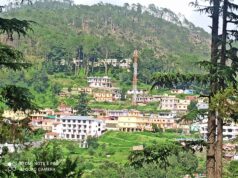 ग्वालदम में जंगली जानवर का मांस बताकर कुत्ते का मांस बेचने की अफवाह से चर्चाओं का बाजार गर्म