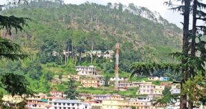 ग्वालदम में जंगली जानवर का मांस बताकर कुत्ते का मांस बेचने की अफवाह से चर्चाओं का बाजार गर्म