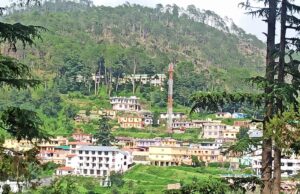 ग्वालदम में जंगली जानवर का मांस बताकर कुत्ते का मांस बेचने की अफवाह से चर्चाओं का बाजार गर्म